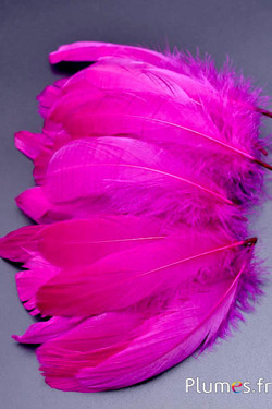 Oie - 11-15 cm - fuchsia